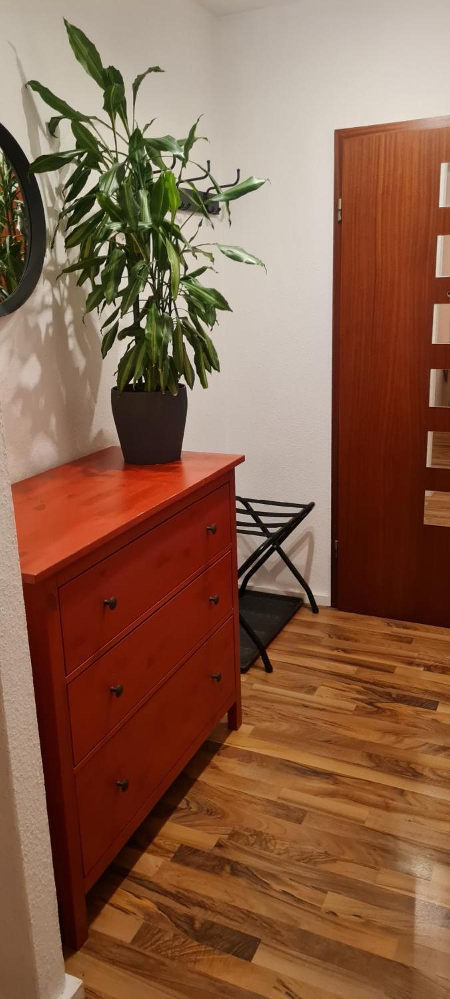Mels Appartment シュヴェツィンゲン エクステリア 写真